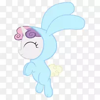 摄影相册兔-空若网 摄影相册兔-空若网