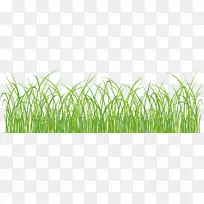 �ݵ��̲�-������