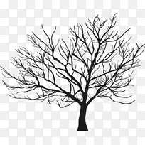 ��֦����-������