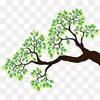 树枝绘制剪贴画-树枝剪贴画-空若网 树枝绘制剪贴画-树枝剪贴画-空若网