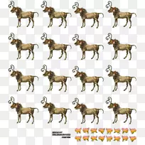 �����۷�����Ȯ��ֳ����-¹-������