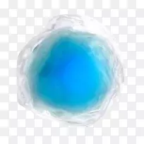 绿松石干细胞-空若网 绿松石干细胞-空若网