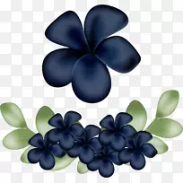 博客-花卉图片材料-空若网 博客-花卉图片材料-空若网