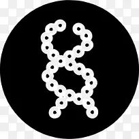 进化生物学生物多样性生物信息学科学-空若网 进化生物学生物多样性生物信息学科学-空若网