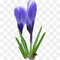 �غ컨������-���컨-������