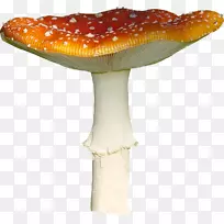 ҰĢ��-������