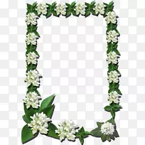 光车架-空若网 光车架-空若网