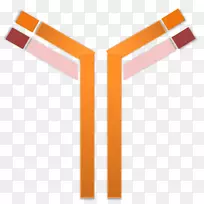 ����¡������¡���忹ԭ��λ-������