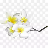 �廨����-������