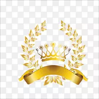 下载安装电脑程式设计-橄榄枝-空若网 下载安装电脑程式设计-橄榄枝-空若网