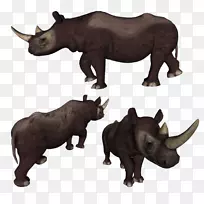 犀牛角陆生动物.优雅的时尚尺度质感材料-空若网 犀牛角陆生动物.优雅的时尚尺度质感材料-空若网