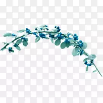 ��ݮ��������-����-������