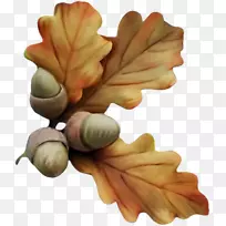 ���ӻ�������-������