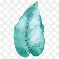 绿叶-手绘薄荷绿叶-空若网 绿叶-手绘薄荷绿叶-空若网