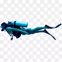 ǱˮǱˮԱǱˮ��װװ��-������