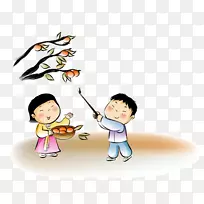 柿子插图-采摘柿子材料-空若网 柿子插图-采摘柿子材料-空若网