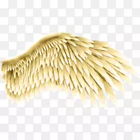 桌面壁纸电脑图标剪贴画-空若网 桌面壁纸电脑图标剪贴画-空若网