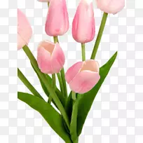 ������ۺ�ɫ�����л�-�ۺ�ɫ����������-������