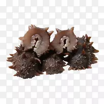 ����ʳƷ����ʳƷ�ƹ�-������