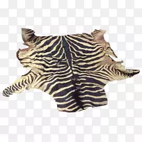 斑马皮地毯地板.斑马主题-空若网 斑马皮地毯地板.斑马主题-空若网