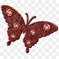 蝴蝶昆虫画夹艺术-蝴蝶-空若网 蝴蝶昆虫画夹艺术-蝴蝶-空若网