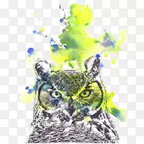 猫头鹰树懒水彩画-猫头鹰-空若网 猫头鹰树懒水彩画-猫头鹰-空若网