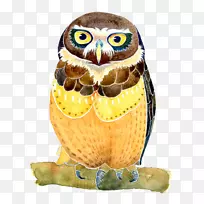 èͷӥˮ�ʻ���ͼ-èͷӥ-������