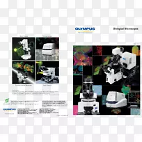 ��ѧ��΢�����ְ�˹��˾��΢��������΢������ҽѧĿ¼-������