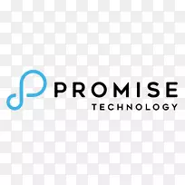 ���ݴ洢RAID�׵缼��-������