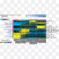 转录组rna-seq计算机软件dna微阵列数据集-Discov-空若网 转录组rna-seq计算机软件dna微阵列数据集-Discov-空若网