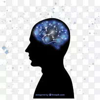 人脑研究-人脑载体材料下载-空若网 人脑研究-人脑载体材料下载-空若网