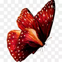 ºûµûÀ¥³æGreta oto¼ôÌù»-ºûµû-¿ÕÈôÍø ºûµûÀ¥³æGreta oto¼ôÌù»-ºûµû-¿ÕÈôÍø