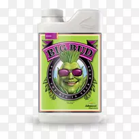 ÓªÑøÑ¿»¨ºÁÉýìø²è-¿ÕÈôÍø ÓªÑøÑ¿»¨ºÁÉýìø²è-¿ÕÈôÍø