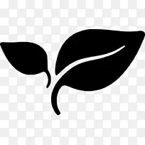 叶线开花植物白色剪贴画-叶-空若网 叶线开花植物白色剪贴画-叶-空若网