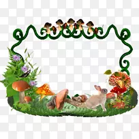 周图像托管服务博客-空若网 周图像托管服务博客-空若网