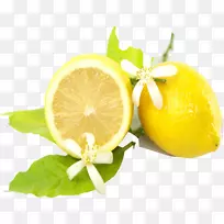 ������������Ϲ�����������-������