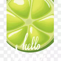 葡萄柚-绿色葡萄柚载体-空若网 葡萄柚-绿色葡萄柚载体-空若网