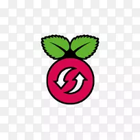 虚拟网络计算raspberry pi紧密tv nc计算机服务器安全外壳-raspberry徽标-空若网 虚拟网络计算raspberry pi紧密tv nc计算机服务器安全外壳-raspberry徽标-空若网