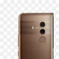 ��ɫ��ý�����-������