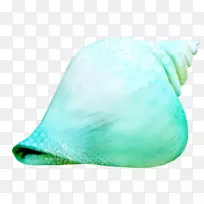 海螺夹艺术.绿色海螺图案-空若网 海螺夹艺术.绿色海螺图案-空若网