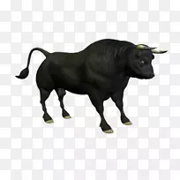 公牛安格斯牛夹艺术-公牛-空若网 公牛安格斯牛夹艺术-公牛-空若网