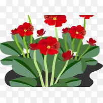 植物插花艺术.实用花卉-空若网 植物插花艺术.实用花卉-空若网