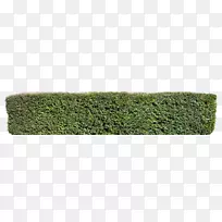 �ݿ�-������