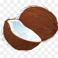 椰子-椰子-空若网 椰子-椰子-空若网