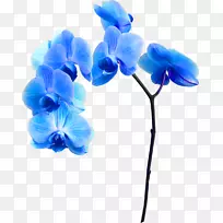 ����������-��-������