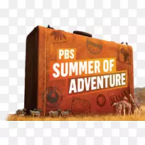 UNC-电视PBS儿童WNED-电视冒险电影-空若网 UNC-电视PBS儿童WNED-电视冒险电影-空若网