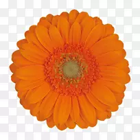 肯塔基州-空若网 肯塔基州-空若网