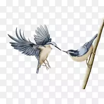 ֽˮ�ʻ��ؿ�-������