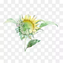 Ë®²Ê».Ë®²Ê»ÏòÈÕ¿û-¿ÕÈôÍø Ë®²Ê».Ë®²Ê»ÏòÈÕ¿û-¿ÕÈôÍø