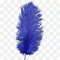 羽毛-羽毛-空若网 羽毛-羽毛-空若网